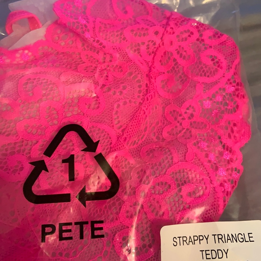 Hot Pink Teddy